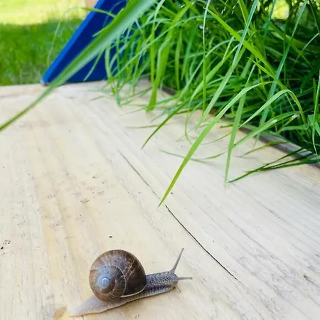 Maringotka Lipenka U Lipenske Prehrady Na Sumave Campingplads *